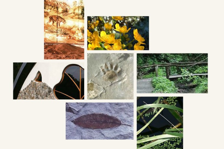 Vadászgyermeknapot tartanak Ipolytarnócon