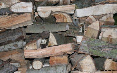 Mikor lesz vége a falopásnak?