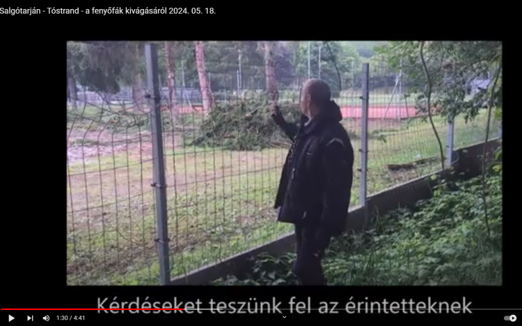 Salgótarján - a fenyőfák politikai élete
