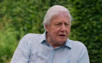 Királyi kitüntetést kapott David Attenborough