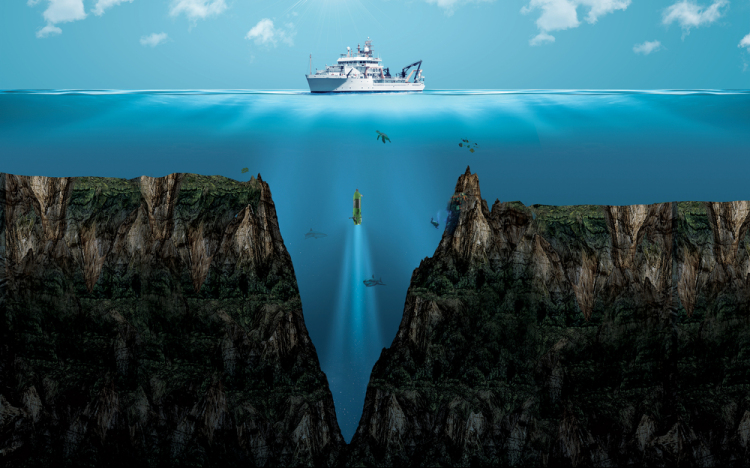 Rémisztő dolgot találtak a Mariana-árok mélyén