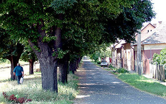 Helyi védelem alatt a vasút menti sétány Balassagyarmaton