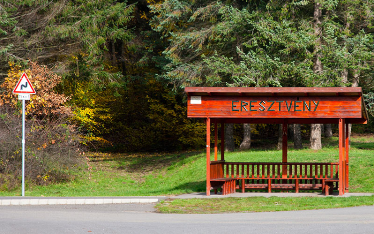 Medvesi Fotós Maraton - Családi nap
