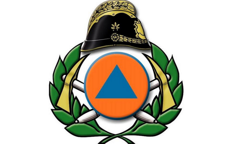 Kidőlt fák, közlekedési balesetek