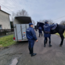 Megerősítő szolgálat Kállón