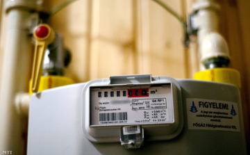 Lezárt ügyek: gázlopás