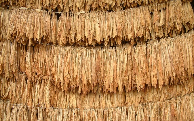 Gazdasági vállalkozások ellenőrzése Észak-Magyarországon