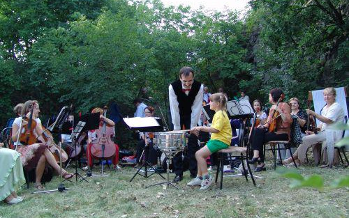 Idén is muzsikál az erdő