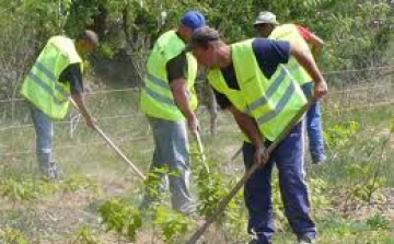Tovább növekszik a közfoglalkoztatottak száma Salgótarjánban