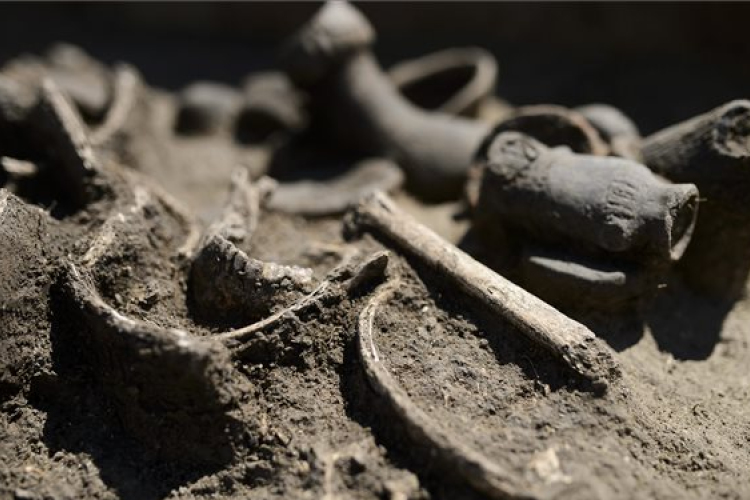 Bronzkori temetőt tártak fel a 21-es számú főút mellett