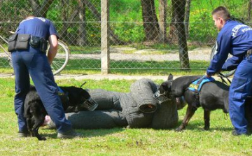 Rendőrségi bűn-és balesetmegelőzési nap Mátraverebélyben