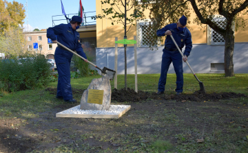 Jubileumi tárlat és faültetés Nógrád megyében