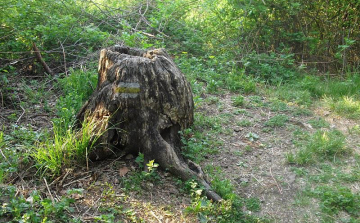 Négy évszak a Karancs-Medves vidékén