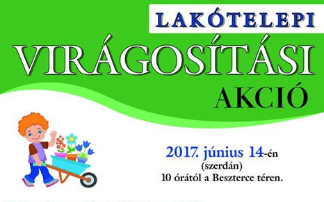 Virágosítási akció a Beszterce lakótelepen