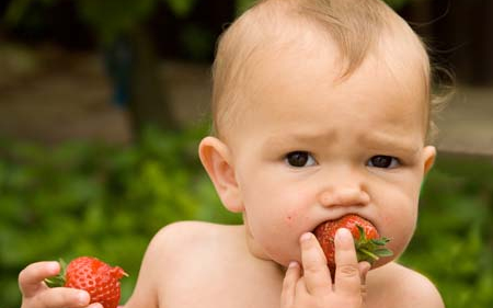 A zöldség- és gyümölcsfogyasztást népszerűsítik Észak-Magyarországon