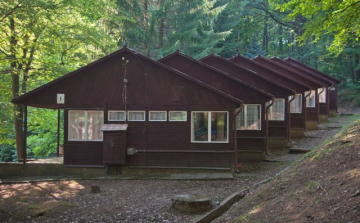 Pályázati felhívás