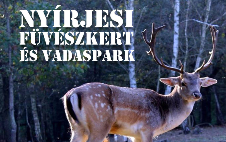 Újranyit a Nyírjesi Füvészkert és Vadaspark Balassagyarmaton
