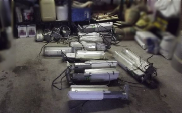 Közvilágításra szakosodtak