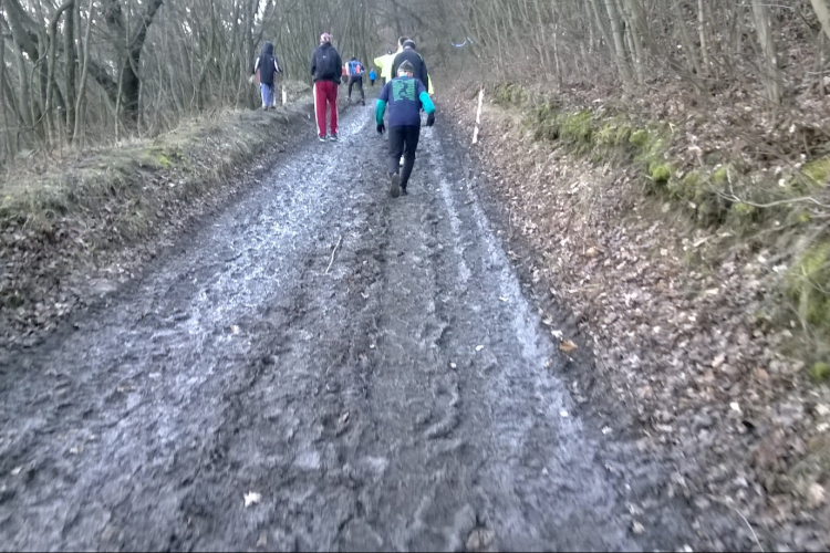 Három nógrádi krosszfutó érem Szentendrén