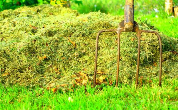 Vasvilla nyelével ütötte a sértettet