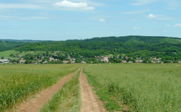 Falumentési akció Terényben