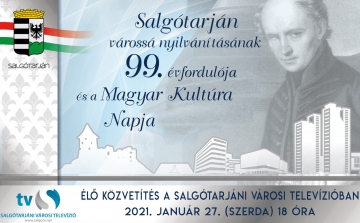 Salgótarján várossá nyilvánításának évfordulója, Magyar Kultúra Napja