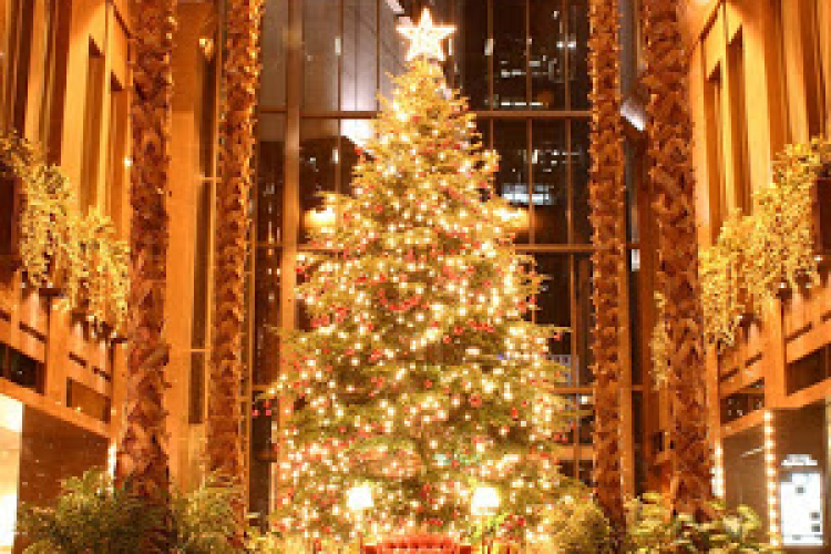 Novemberre tette az elnök a karácsonyt - videóval