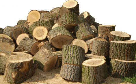 Nem volt pénzük tüzelőre