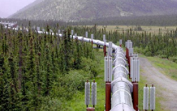 Egyedül a nyertes cég adott ajánlatot