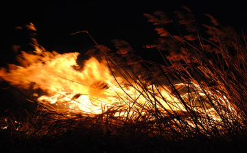 Nyolcvankét hektárnyi terület égett le tegnap Nógrád megyében