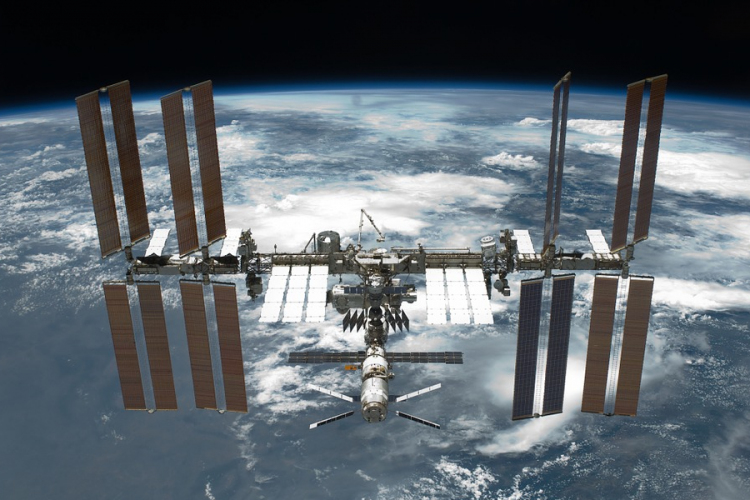 Tintahalbébiket küldenek a Nemzetközi Űrállomásra
