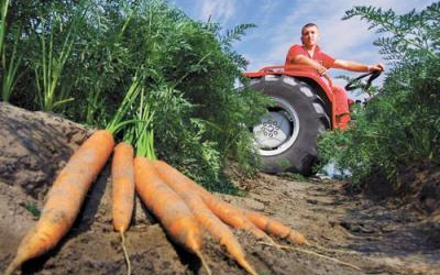 Három éve növekedik a mezőgazdaság termelési értéke