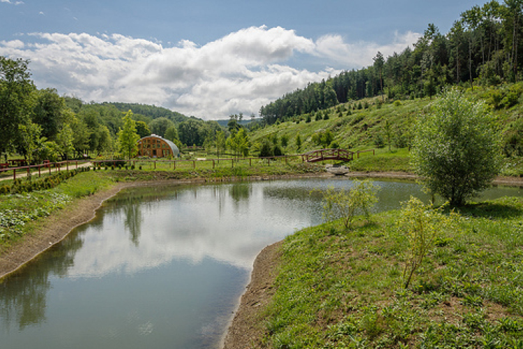 Madármegfigyelés és miocénerdő-túra az ipolytarnóci ősmaradványok területén