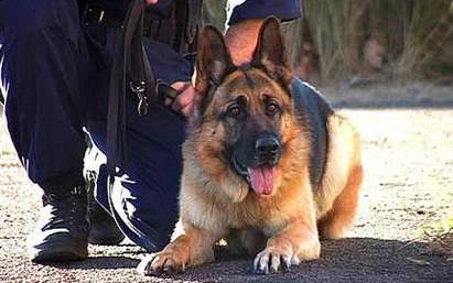 Számítógépet tulajdonított el