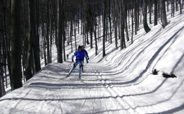 Papp Ildikó újabb lépése az olimpia felé