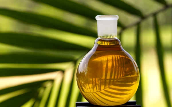 Pusztító pálmaolaj: egész erdőket vágnak ki az üzemanyagért