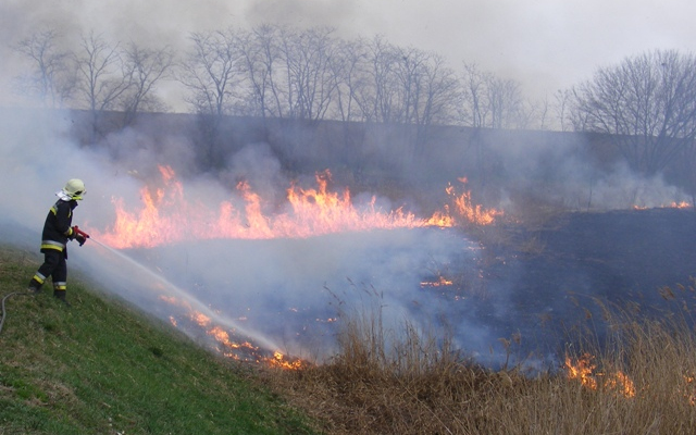 Kigyulladt egy nádas Bátonyterenyénél