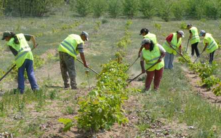 A közmunka dominál Nógrádban
