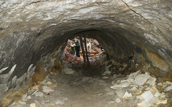 Földtudományi természeti értékek napja Salgótarjánban