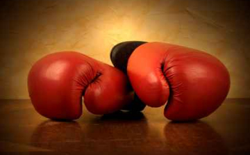 Danyi Dávid a döntőig menetelt