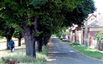 Helyi védelem alatt a vasút menti sétány Balassagyarmaton
