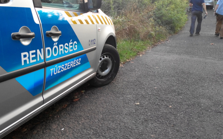 Lőszereket és lőfegyvert foglaltak le - Videóval