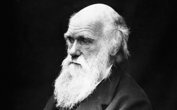 Rekordáron, csaknem 900 ezer dollárért kelt el Darwin egy aláírt kézirata