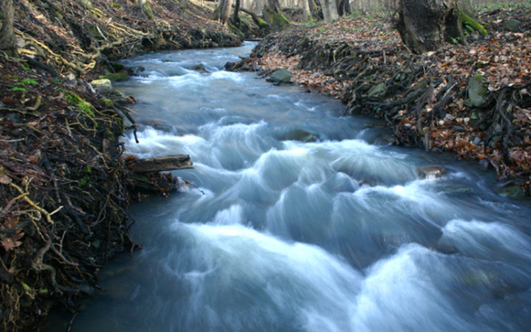 Hol bújkált Sisa Pista?