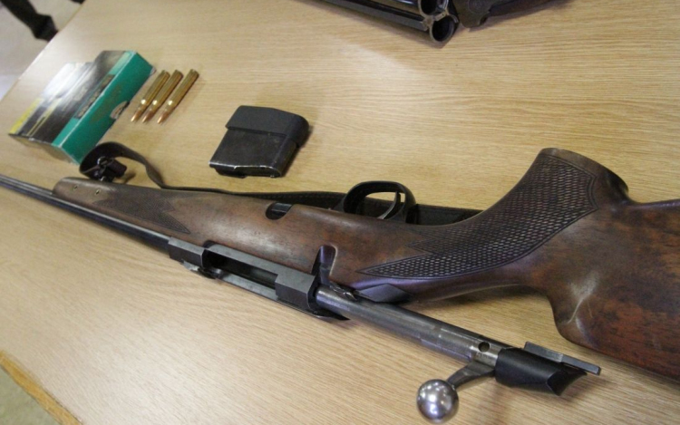 Vádemelési javaslat a medvét lelövők ellen