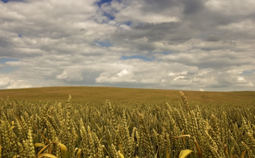 A magyar föld védelmére ad garanciát az új jogszabály