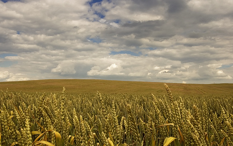 A magyar föld védelmére ad garanciát az új jogszabály