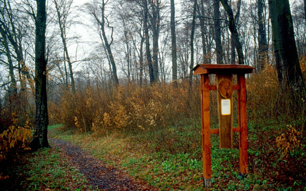 Új látogatóközpont és tanösvény Királyréten