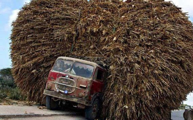 Megroggyant egy híd Salgótarjánban: súlykorlátozást vezettek be