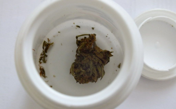 Kábítószer a rágógumis dobozban